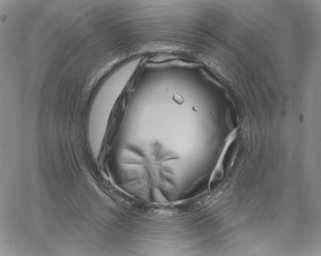 X0000065260352200603131208