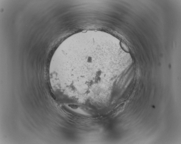 X0000065260353200603131208