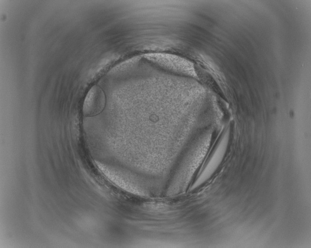 X0000065260354200603131208