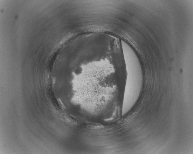 X0000065260355200603131208