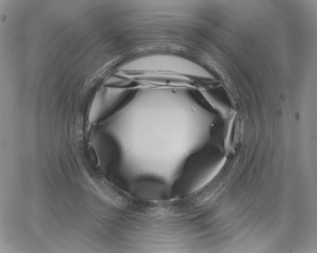 X0000065260356200603131208