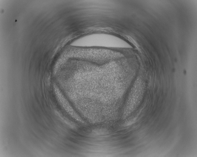 X0000065260357200603131208