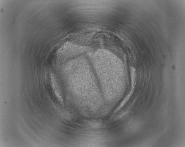 X0000065260359200603131208