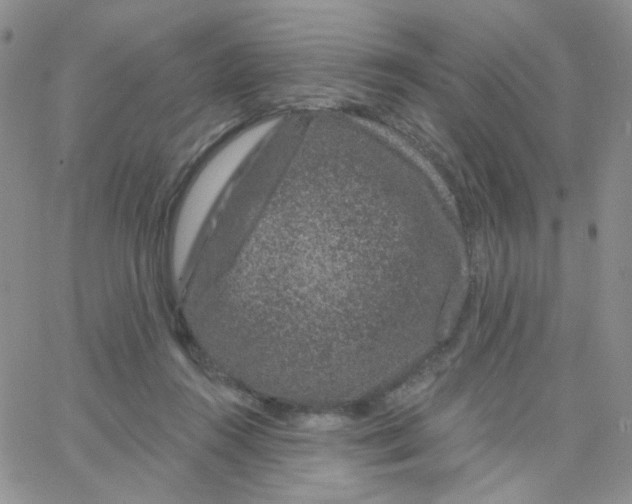 X0000065260360200603131208