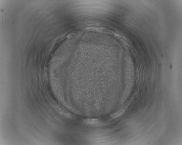 X0000065260361200603131208