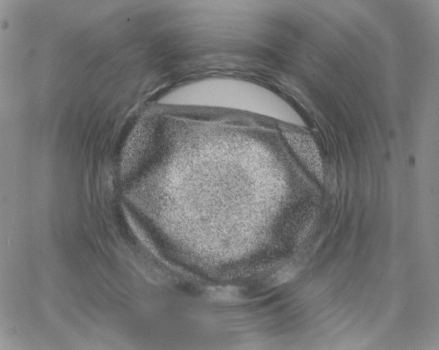 X0000065260363200603131208