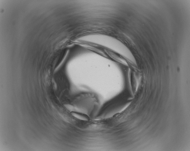 X0000065260364200603131208