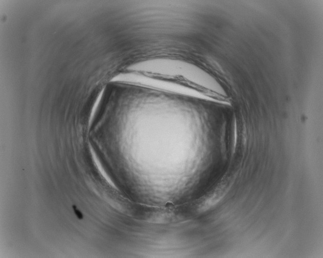 X0000065260366200603131208