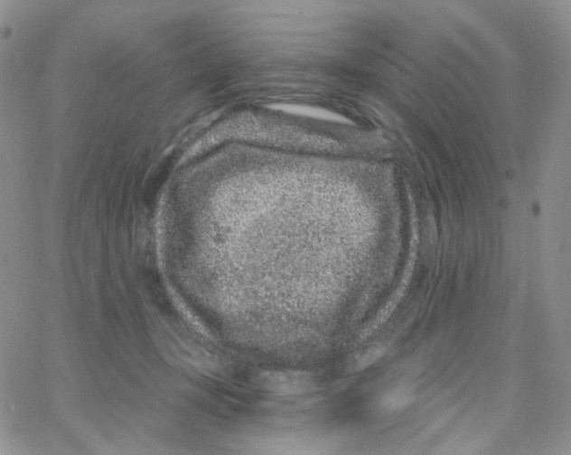 X0000065260367200603131208