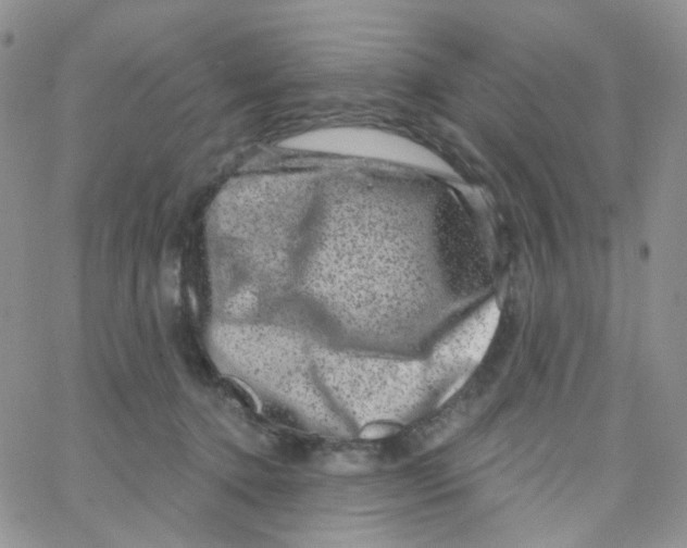 X0000065260368200603131208