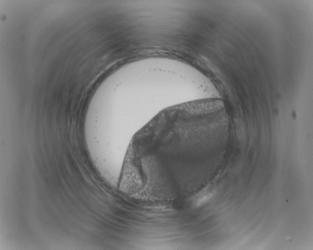 X0000065260370200603131208