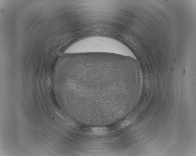 X0000065260371200603131208