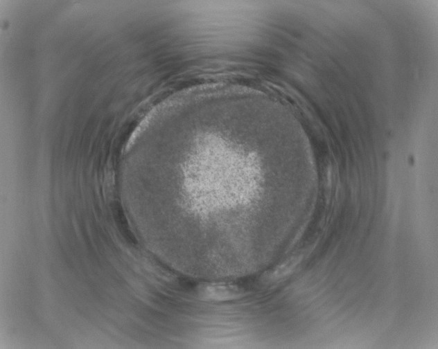 X0000065260372200603131208