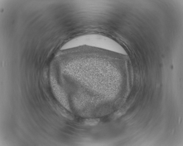 X0000065260373200603131208