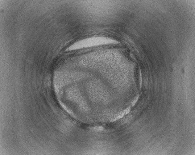 X0000065260374200603131208