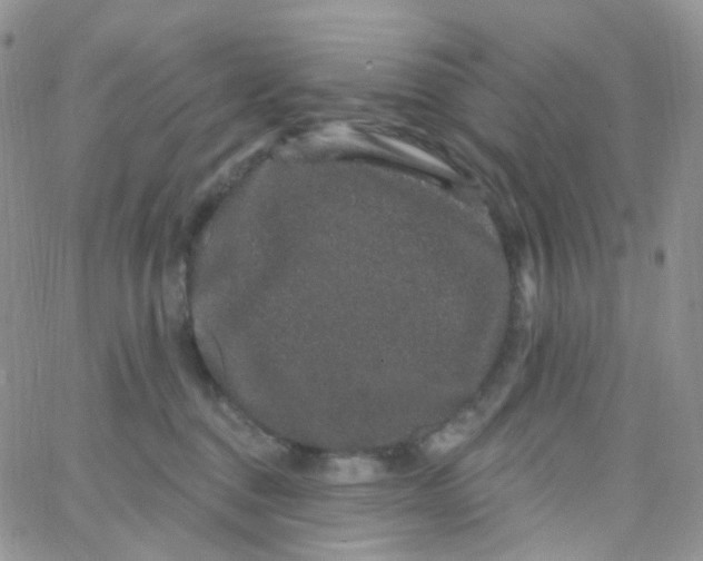 X0000065260376200603131208