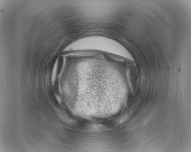 X0000065260379200603131208