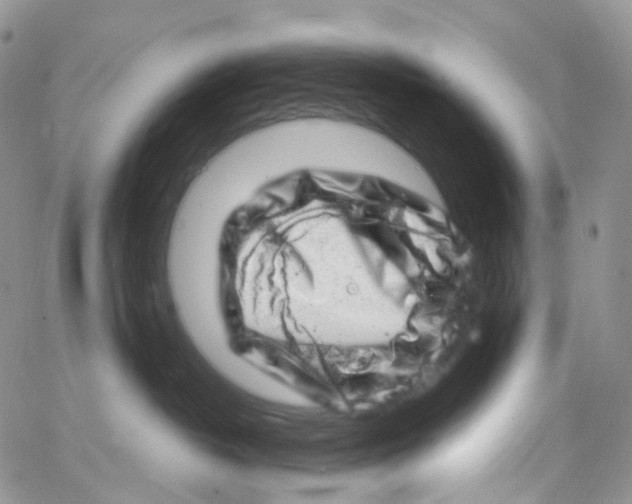 X0000065260382200603131209