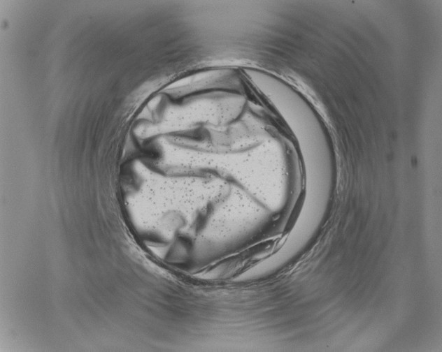 X0000065260385200603131208