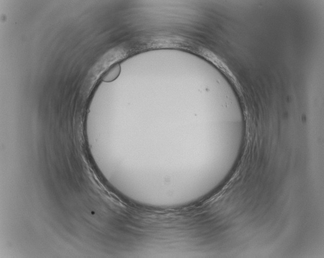 X0000065260386200603131208