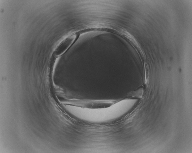 X0000065260387200603131208