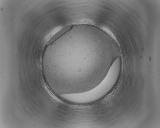 X0000065260389200603131208