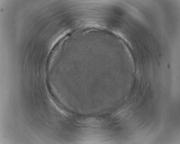 X0000065260390200603131208