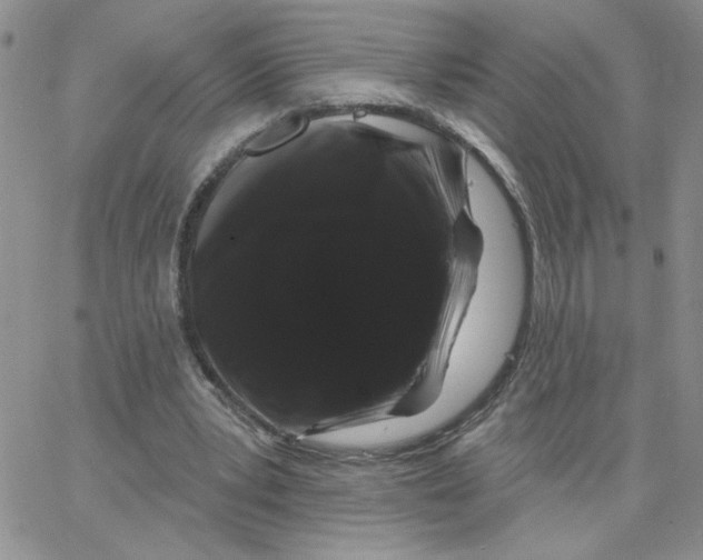 X0000065260391200603131208