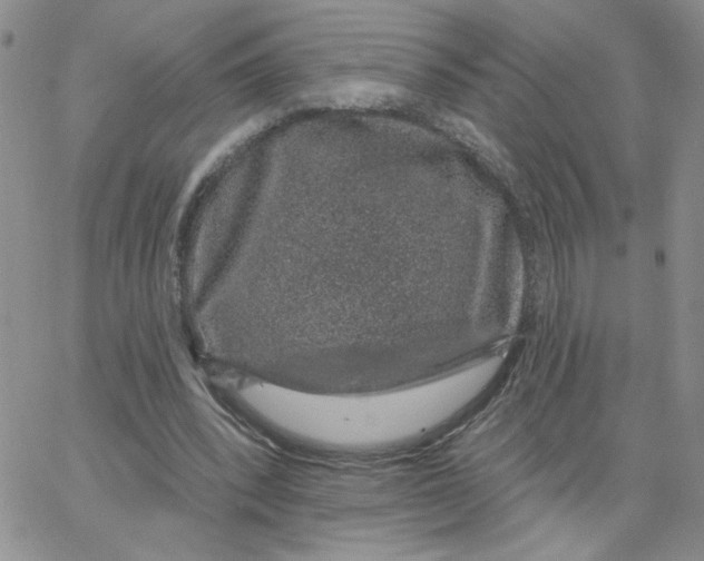 X0000065260392200603131208