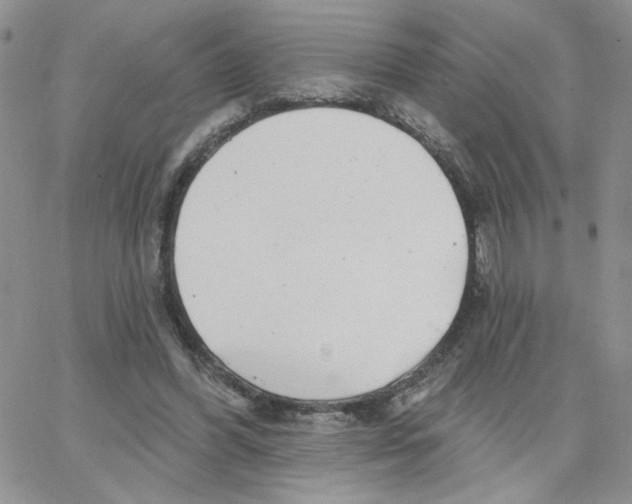 X0000065260396200603131208