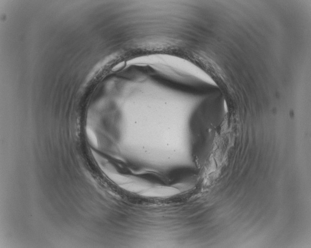 X0000065260400200603131208