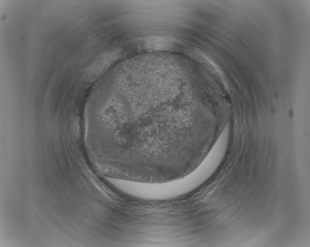 X0000065260401200603131208