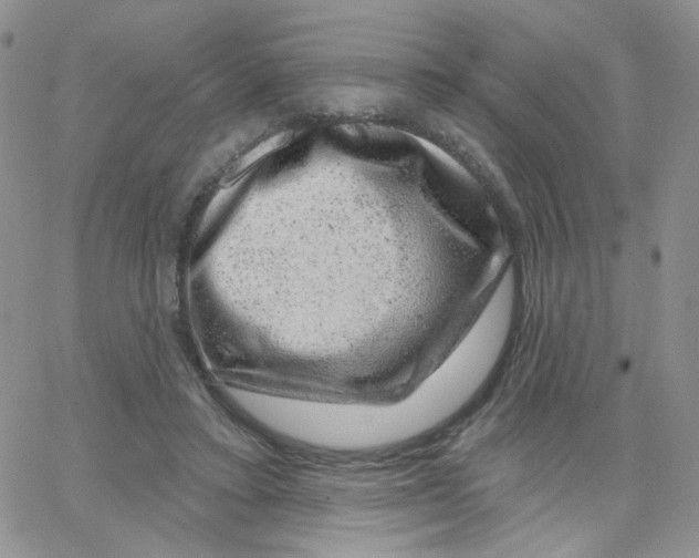 X0000065260403200603131207