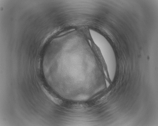 X0000065260404200603131207