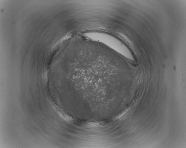 X0000065260405200603131207