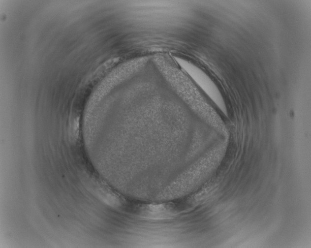 X0000065260406200603131207