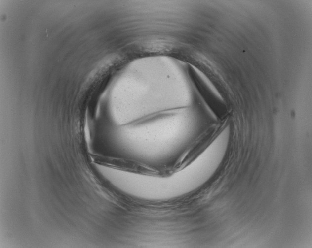 X0000065260407200603131207