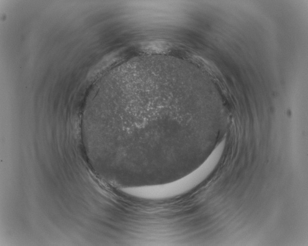 X0000065260409200603131207