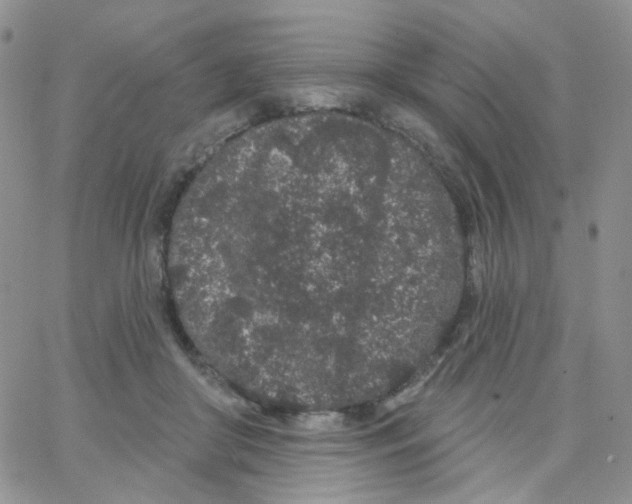 X0000065260410200603131207