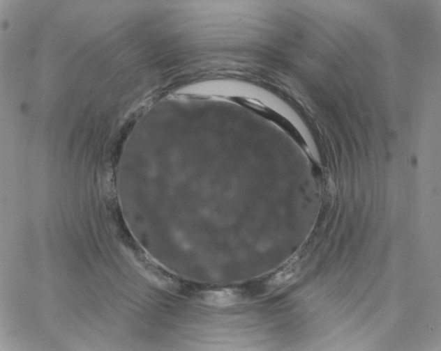 X0000065260411200603131207