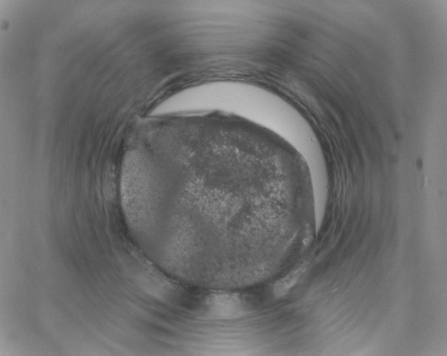 X0000065260413200603131207