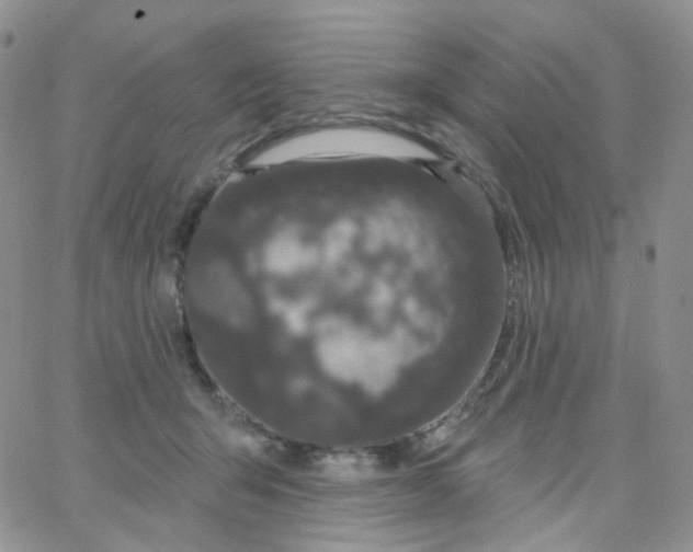 X0000065260415200603131207