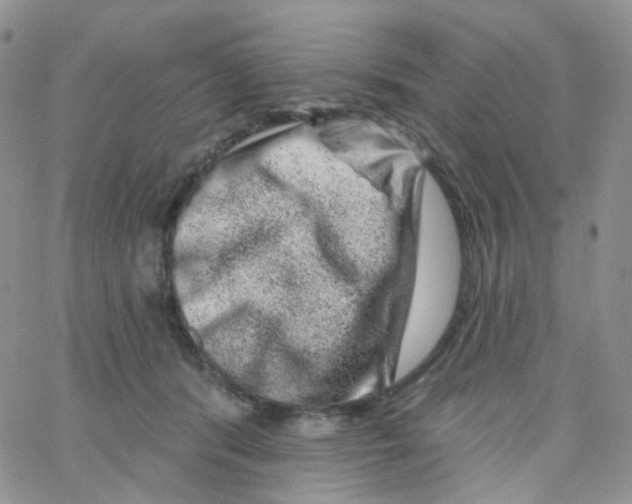 X0000065260416200603131207