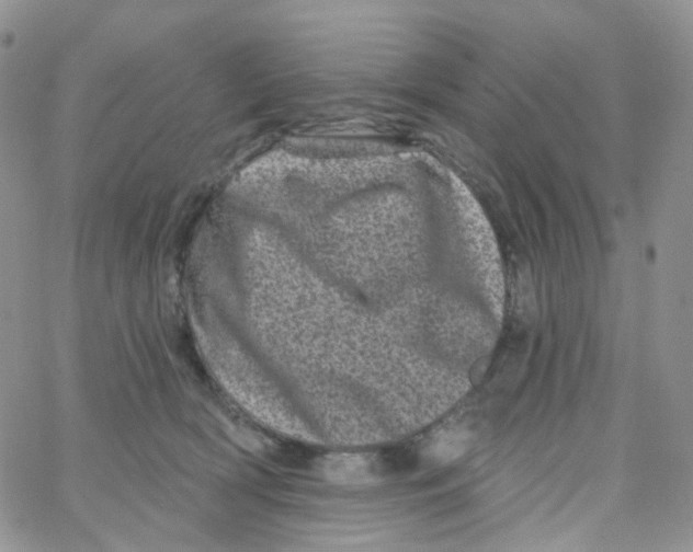 X0000065260418200603131207