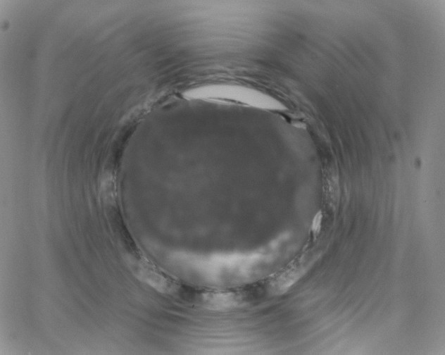 X0000065260419200603131207