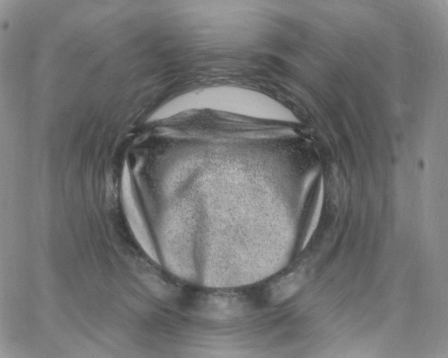 X0000065260420200603131207