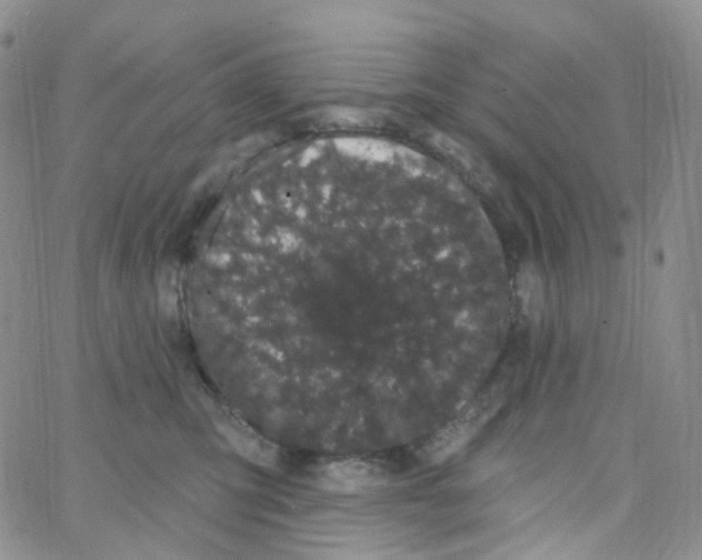 X0000065260423200603131207