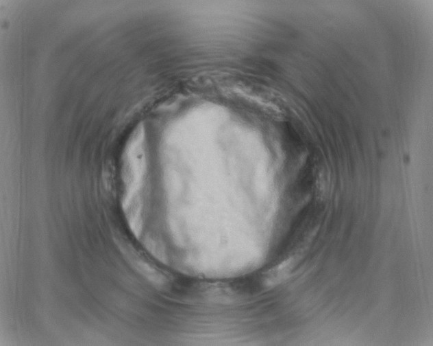 X0000065260424200603131207