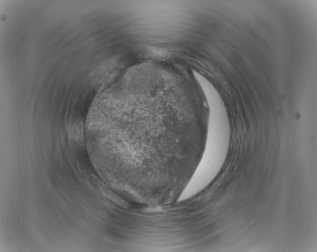 X0000065260425200603131207