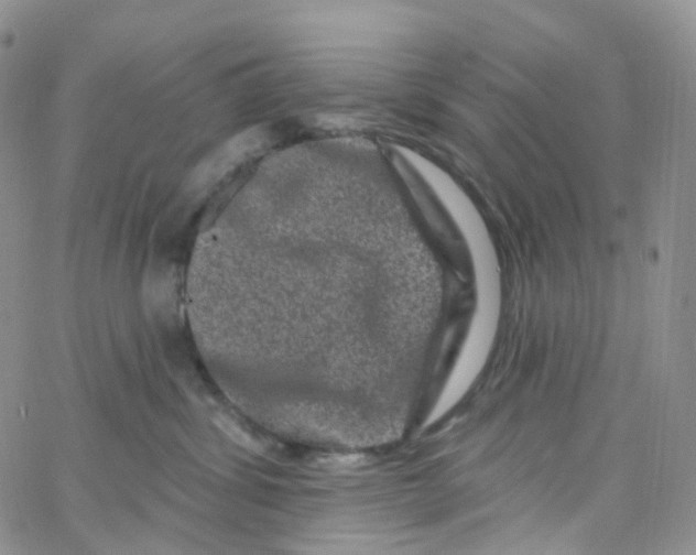 X0000065260428200603131207